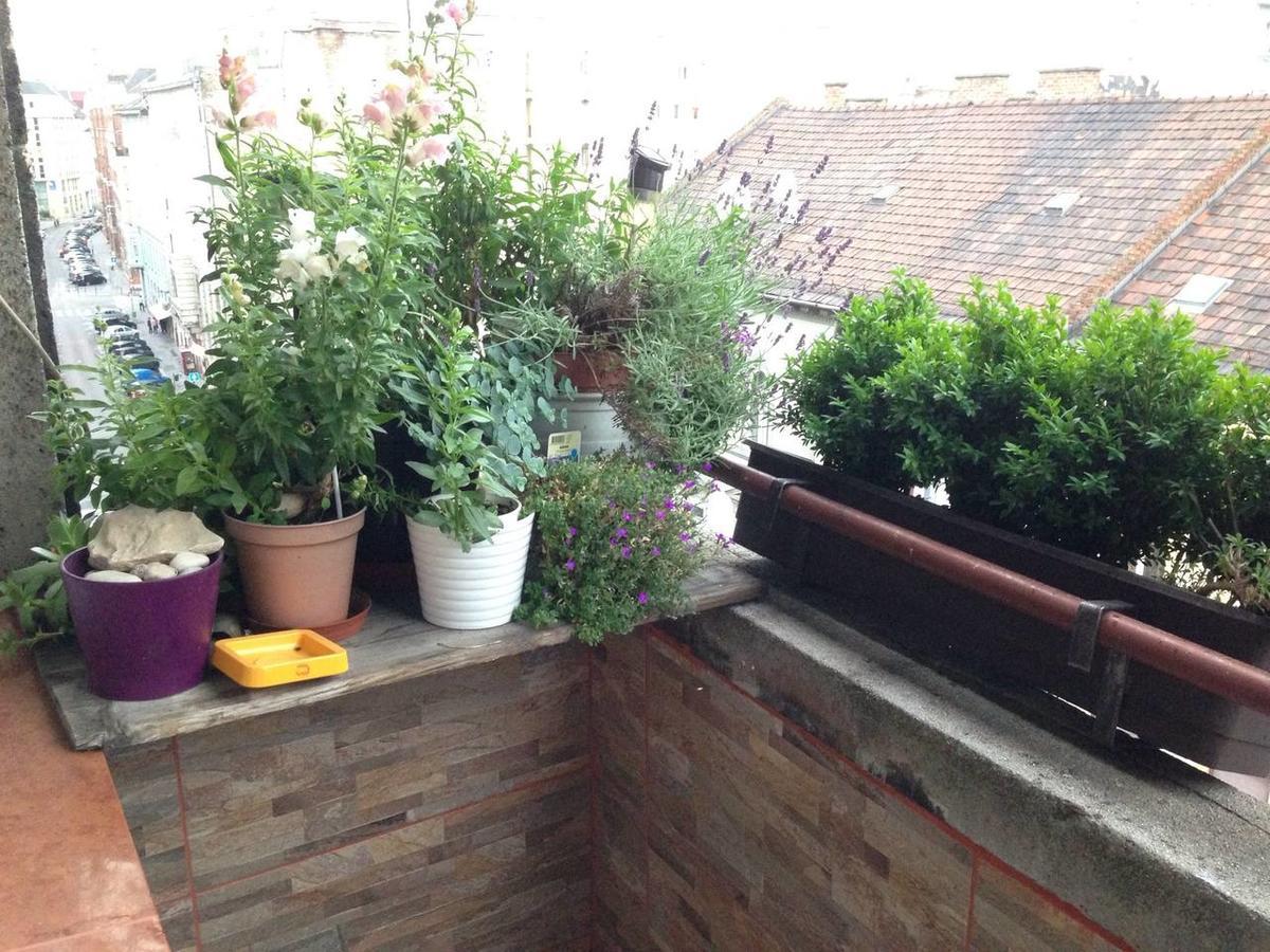 Apartament Lonyay Street *